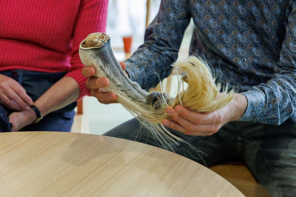 05-10-2022: Drieluik Diergeneeskunde